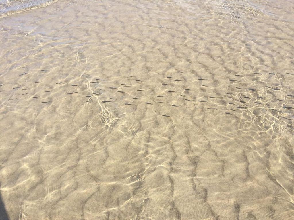 Perla Blu Marzamemi Villa ภายนอก รูปภาพ